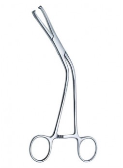 Bone Block Clamp